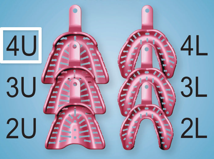 Massad Edentulous Low Temp Tray